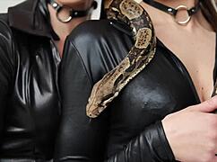 in this tutorial session, roxy fox guides through a sensual handjob technique with cucumber elements and orgasm focus