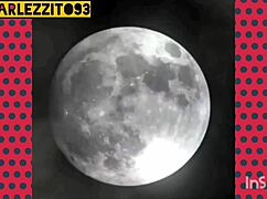 Hugomontador intensely fucks a hot trans in anal sex