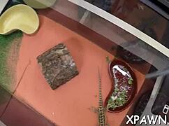 Exhibitionist Amateur Sucks Cock Hardcore