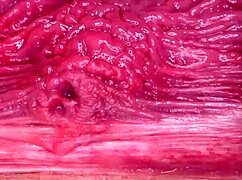 Amateur Fingering Session in Homemade Video