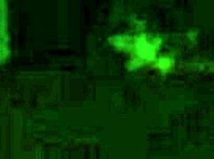 karina lombard and rowena king wide sargasso sea sex scene compilation