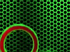 Blonde coed LEXI LOVE gets her PUSSY FUCKED and JIZZED by ROME MAJOR