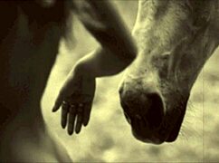 i confess my erotic secrets from victorian times, including tits and pussy