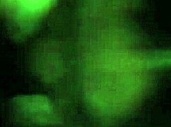 this bbw casually sucks on a monster black cock