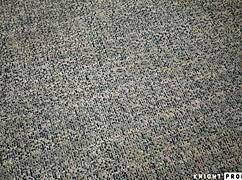 Wow, barbi kush found a huge cock and joined the group fucking scene! 🔥