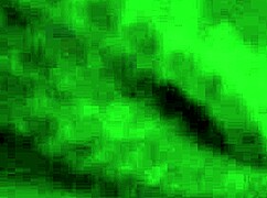 I watched the white hooker blonde milf suck cock expertly