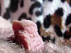 Big clit orgasm in closeup hd