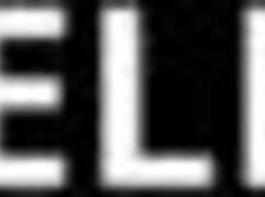 Apa dalam koleksi lady muffin 06?