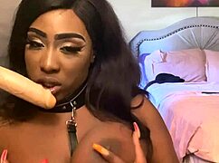 Lexo butterfly tells the story of sucking that cock off the wall