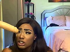 Lexo butterfly tells the story of sucking that cock off the wall