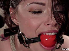 Hogtied Beauty Gets Fucked With Dildo