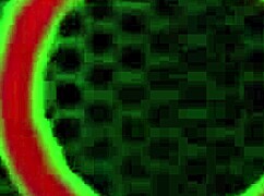 Big ass latina fucks Puerto Rican Sheena Ryder