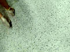 colombiana exploring her heritage in a casual story