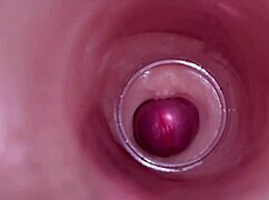 Wow, watch the internal camera capture deep male ejaculation in female insemination!