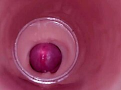 Wow, watch the internal camera capture deep male ejaculation in female insemination!