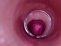 Wow, watch the internal camera capture deep male ejaculation in female insemination!