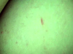 i got roughly fucked in missionary by my bull