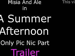 a summer afternoon only picnic with european domination themes