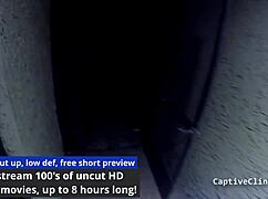 strangers in the night featuring ava siren