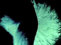 Dark Lantern Entertainment Presents Top 10 Flirtatious Grannies From My Secret Life The Erotic Confessions Of A Victorian English Gentleman