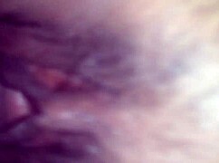 comendo anega do tr�s barras - wanna see?