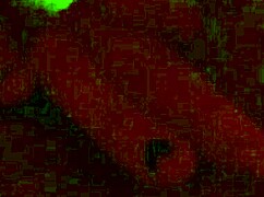 Big Tits BBW Sucks Huge Cock in Intense Session