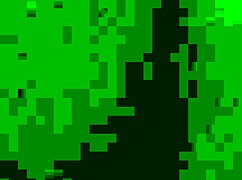 indo amateur video captures everyday moments