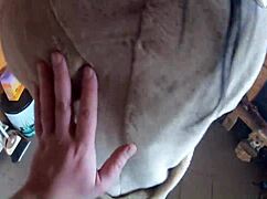 Cheating Wife Dance Play With Husband Friend 228 - Previewtoday My Husband Is Away On A Trip His Friend Also Lied And L