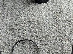 Modeling new pleaser heels teaser