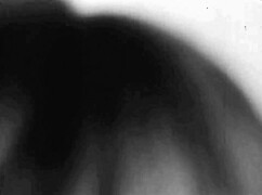 vintage pussy eating lesbians explore antique desires