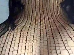 Le Tiran Porra na Cara - Gozada Facial - Anal - Sexo Anal - Verdadeiro Anal - Rompem a Buceta e Dão Leite na Cara - Creampie