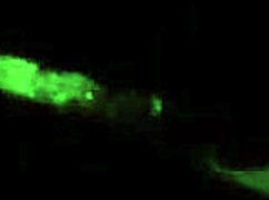 crashout gives vday head to splackcity in bedroom homemade