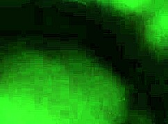 chilena amateur lo chupa con ganas en oral session