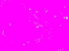 I want to nibble on my roommates sexy little 18+ toes