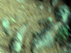 Naked Mommy Teases with Long Legs and Big Ass in the Wild Outdoors