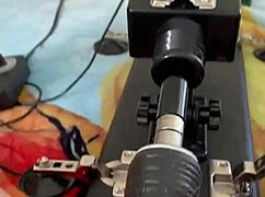 does boobunny really crave that black cock?