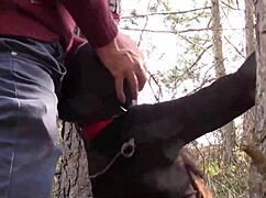 Náhled - milf bondage kapuce facefuck kompilace