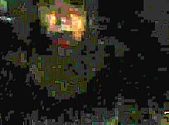 that wild outdoor bagunça with victoria dias and rob carvalho 😜