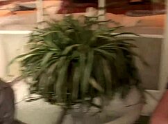 slut babes groupsex huge natural boobs but i meant to say fun party with big chests