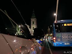 i got a ride n bbc from a stranger