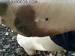 European girl takes a little nylon walk in the forest