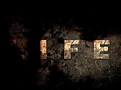 vintage erotic drawings collection