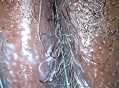 גו פלייבוי נלקק בסיפור קליל