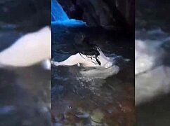 Sexo em torrente com garota branca e muito feminina, sentadas fortes depois de chupar duro.