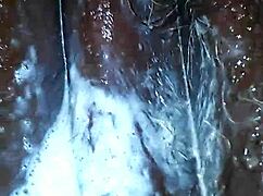 El goo del playboy se lame en una historia casual