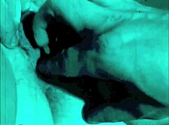 dark lantern presents dragonfly freddie