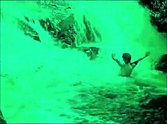 dark lantern presents dragonfly freddie