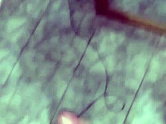 The Young White Guy Masturbates Passionately In His Room