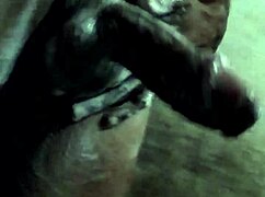 im stroking this monster cock hard