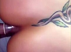 una opinión sincera de una venezolana acerca de quien es mejor amante si un quiteño o un guayaco